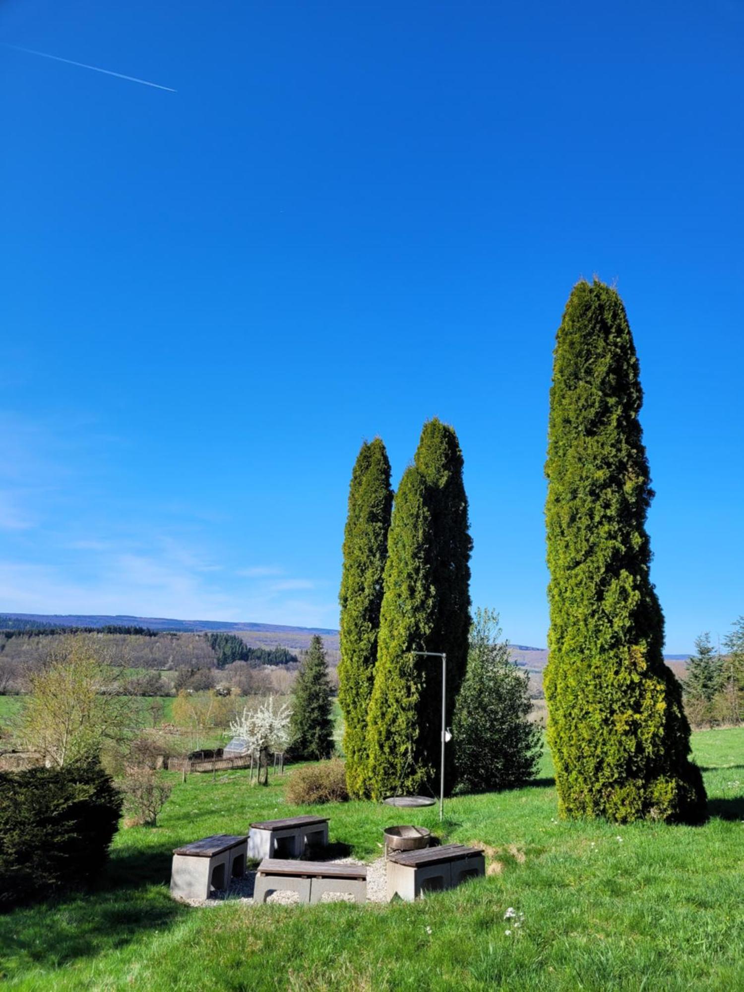 Ferienhaus Wilder Hunsrueck Schmissberg Bagian luar foto