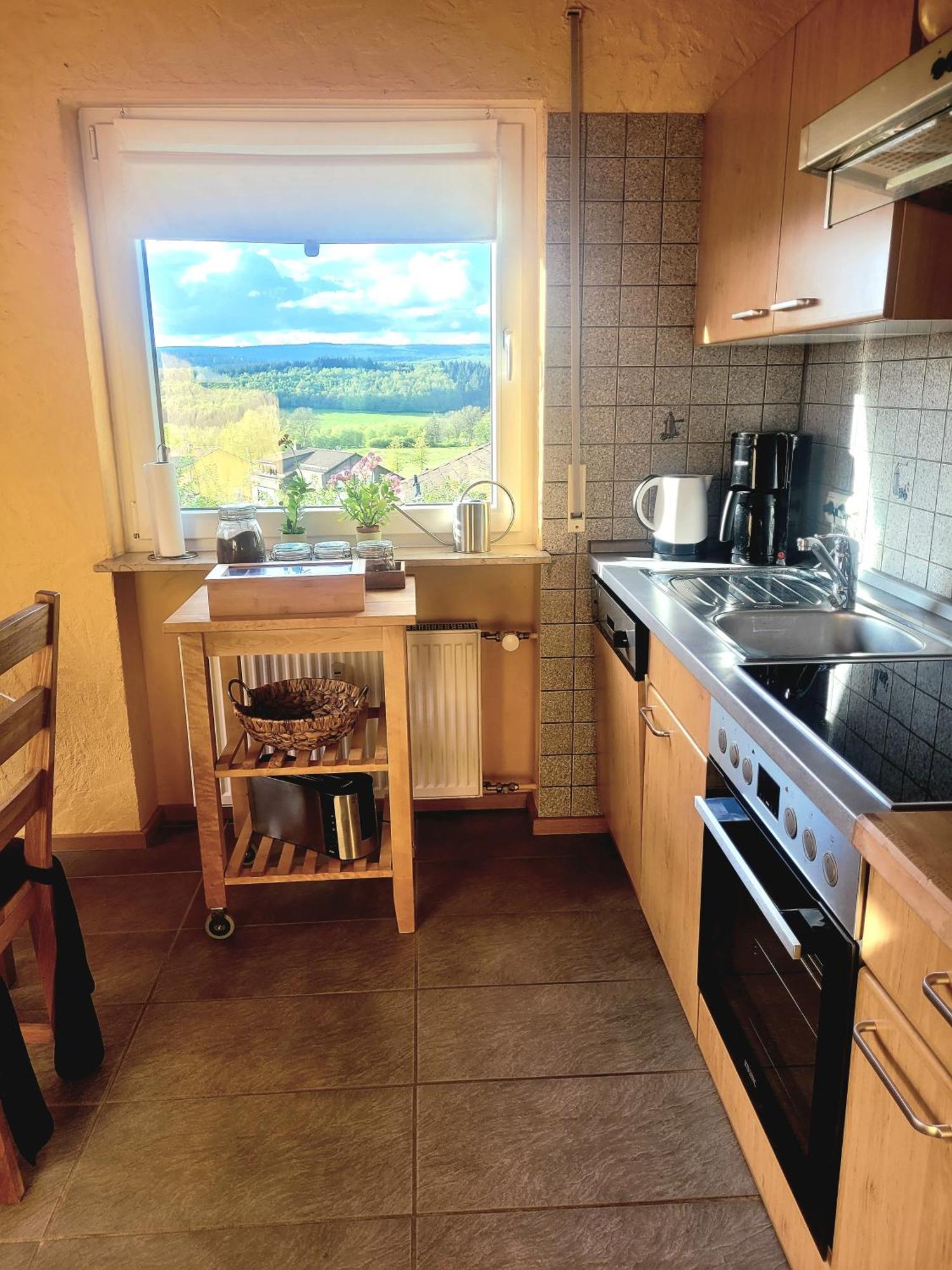Ferienhaus Wilder Hunsrueck Schmissberg Bagian luar foto